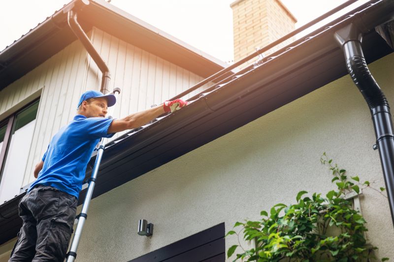 Local Gutter Experts